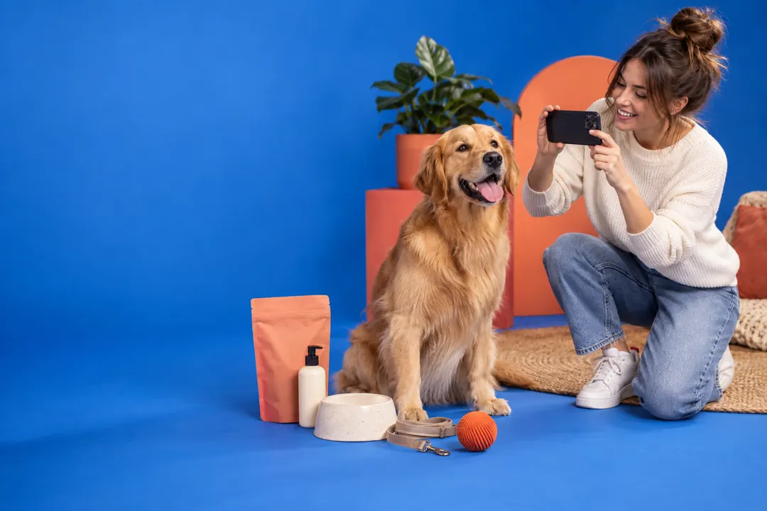 A pet creator filming a golden retriever with pet products